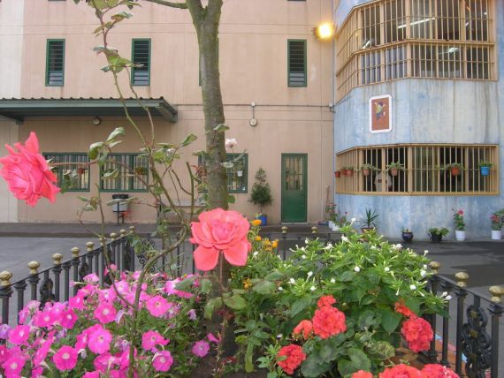 patio rosas.jpg patio rosas.jpg